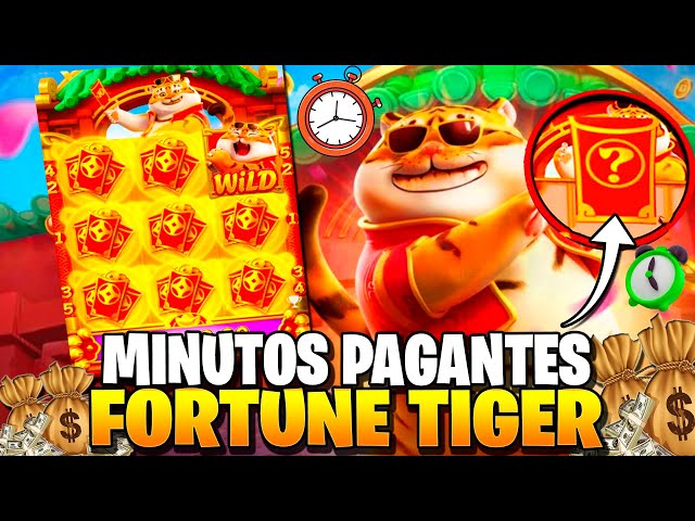 aplicativo tigre imagem de tela 3